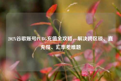202X谷歌账号PUBG充值全攻略,解决跨区锁、直充慢、汇率差难题