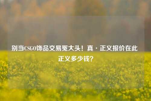 别当CSGO饰品交易冤大头!真·正义报价在此 正义多少钱?