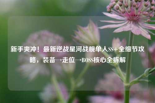 新手爽冲!最新逆战星河战舰单人SS+全细节攻略,装备→走位→BOSS核心全拆解