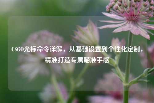 CSGO光标命令详解,从基础设置到个性化定制,精准打造专属瞄准手感