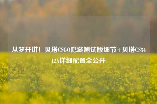 从梦开讲!贝塔CSGO隐藏测试版细节+贝塔CS3412A详细配置全公开