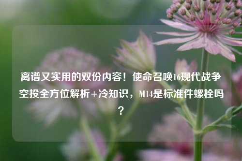 离谱又实用的双份内容!使命召唤16现代战争空投全方位解析+冷知识,M14是标准件螺栓吗?