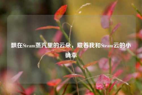 飘在Steam蒸汽里的云朵,藏着我和Steam云的小确幸