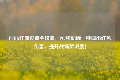 PUBG红血设置全攻略,PC/移动端一键调出红色伤害,提升战场辨识度!
