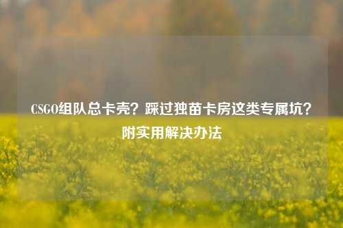 CSGO组队总卡壳?踩过独苗卡房这类专属坑?附实用解决办法