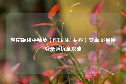 越南版和平精英(PUBG Mobile VN)安卓iOS通用登录避坑全攻略