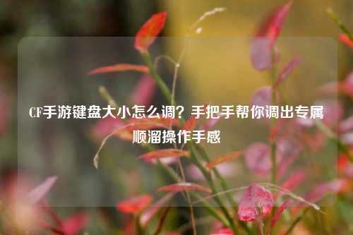 CF手游键盘大小怎么调?手把手帮你调出专属顺溜操作手感