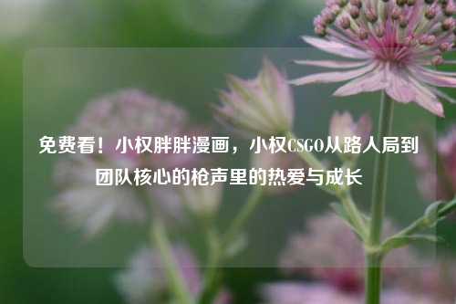 免费看!小权胖胖漫画,小权CSGO从路人局到团队核心的枪声里的热爱与成长