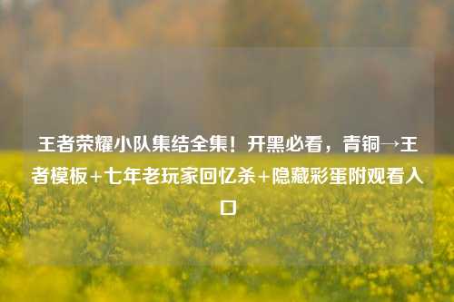 王者荣耀小队集结全集!开黑必看,青铜→王者模板+七年老玩家回忆杀+隐藏彩蛋附观看入口