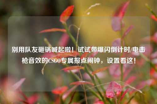 别用队友砸锅喊起啦!试试带爆闪倒计时/电击枪音效的CSGO专属报点闹钟,设置看这!