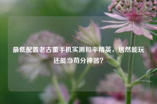 最低配置老古董手机实测和平精英,居然能玩还能当苟分神器?