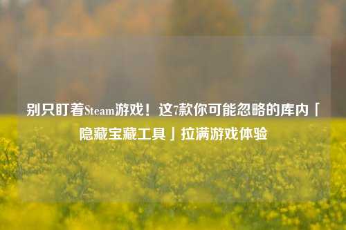 别只盯着Steam游戏!这7款你可能忽略的库内「隐藏宝藏工具」拉满游戏体验