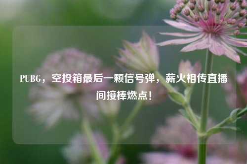 PUBG,空投箱最后一颗信号弹,薪火相传直播间接棒燃点!