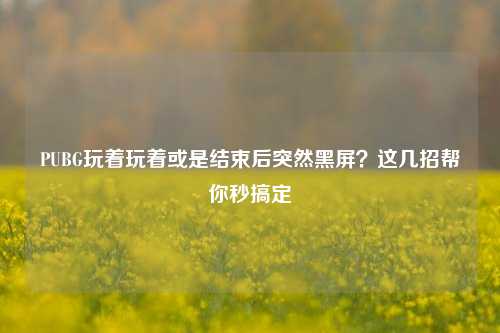 PUBG玩着玩着或是结束后突然黑屏?这几招帮你秒搞定