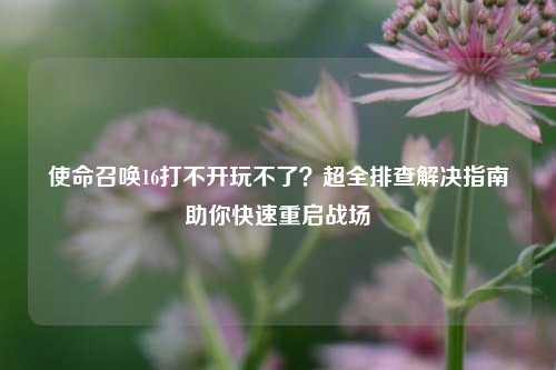 使命召唤16打不开玩不了?超全排查解决指南助你快速重启战场