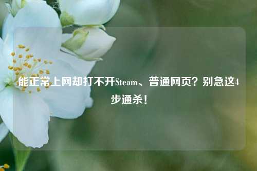 能正常上网却打不开Steam、普通网页?别急这4步通杀!