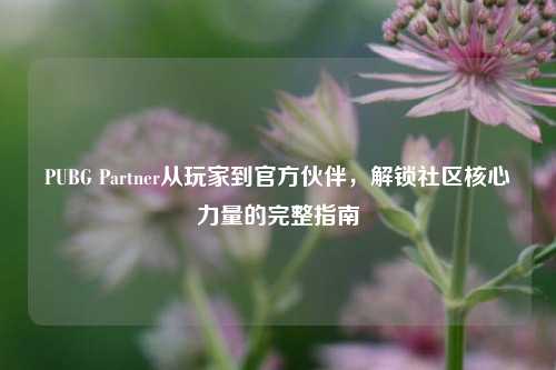 PUBG Partner从玩家到官方伙伴,解锁社区核心力量的完整指南