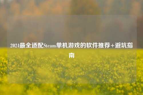2024最全适配Steam单机游戏的软件推荐+避坑指南