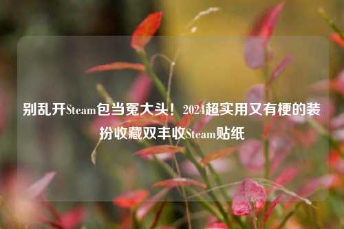 别乱开Steam包当冤大头!2024超实用又有梗的装扮收藏双丰收Steam贴纸
