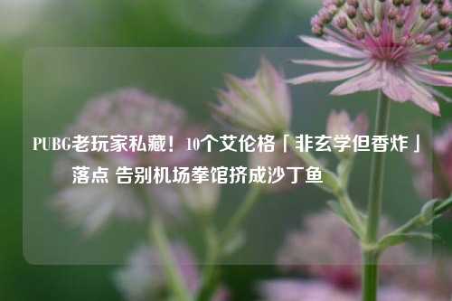 PUBG老玩家私藏!10个艾伦格「非玄学但香炸」落点 告别机场拳馆挤成沙丁鱼🥫