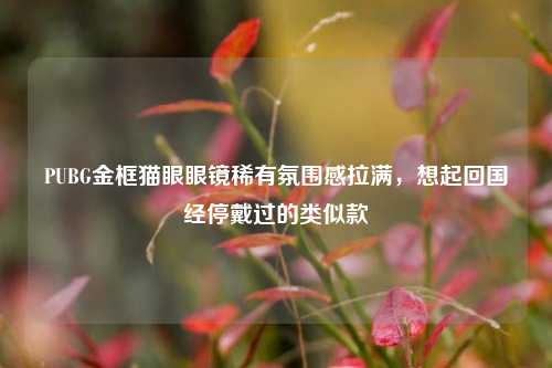 PUBG金框猫眼眼镜稀有氛围感拉满,想起回国经停戴过的类似款