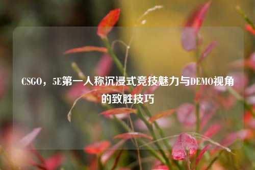 CSGO,5E第一人称沉浸式竞技魅力与DEMO视角的致胜技巧