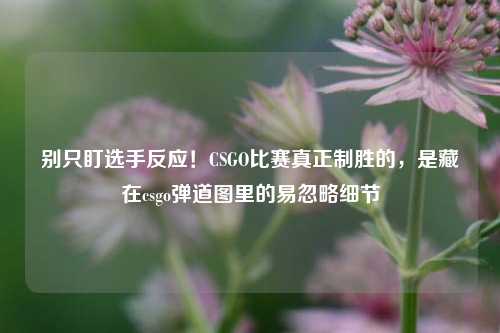 别只盯选手反应!CSGO比赛真正制胜的,是藏在csgo弹道图里的易忽略细节