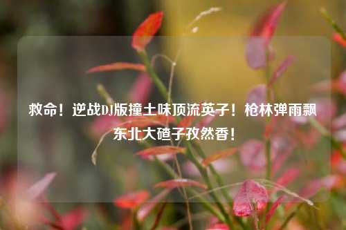 救命!逆战DJ版撞土味顶流英子!枪林弹雨飘东北大碴子孜然香!