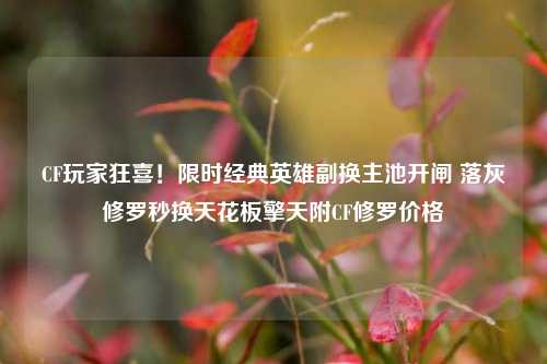 CF玩家狂喜!限时经典英雄副换主池开闸 落灰修罗秒换天花板擎天附CF修罗价格