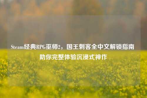 Steam经典RPG巫师2,国王刺客全中文解锁指南 助你完整体验沉浸式神作