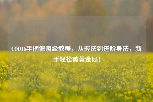 COD16手柄保姆级教程,从握法到进阶身法,新手轻松破黄金局!
