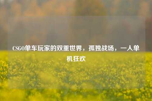 CSGO单车玩家的双重世界,孤独战场,一人单机狂欢