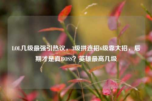 LOL几级最强引热议,3级拼连招6级靠大招,后期才是真BOSS?英雄最高几级