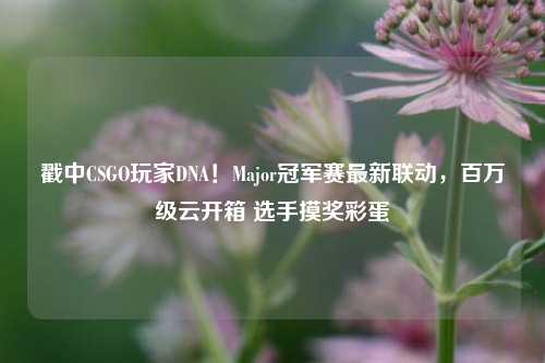 戳中CSGO玩家DNA!Major冠军赛最新联动,百万级云开箱 选手摸奖彩蛋