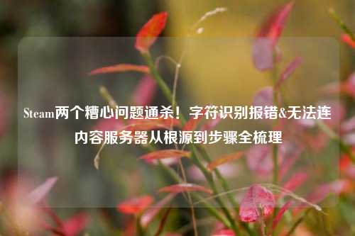 Steam两个糟心问题通杀!字符识别报错&无法连内容服务器从根源到步骤全梳理