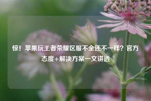惊!苹果玩王者荣耀区服不全还不一样?官方态度+解决方案一文讲透