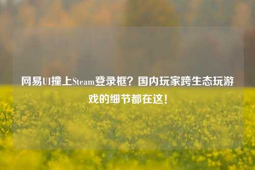 网易UI撞上Steam登录框?国内玩家跨生态玩游戏的细节都在这!