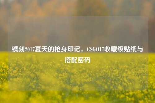 镌刻2017夏天的枪身印记,CSGO17收藏级贴纸与搭配密码