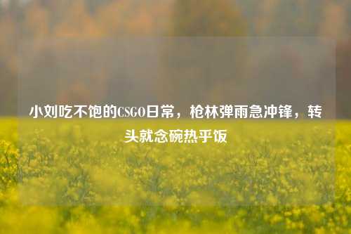 小刘吃不饱的CSGO日常,枪林弹雨急冲锋,转头就念碗热乎饭