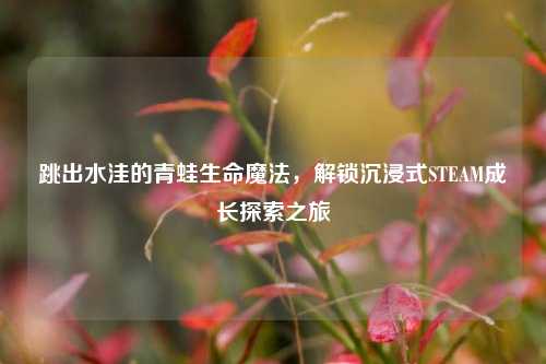 跳出水洼的青蛙生命魔法,解锁沉浸式STEAM成长探索之旅