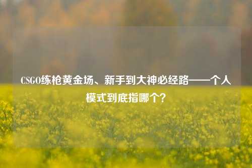 CSGO练枪黄金场、新手到大神必经路——个人模式到底指哪个?