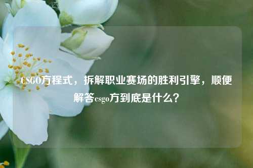 CSGO方程式,拆解职业赛场的胜利引擎,顺便解答csgo方到底是什么?