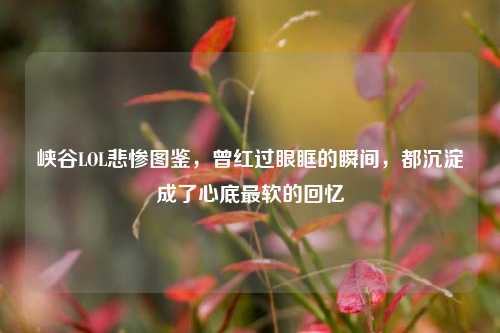 峡谷LOL悲惨图鉴,曾红过眼眶的瞬间,都沉淀成了心底最软的回忆