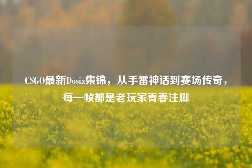 CSGO最新Dosia集锦,从手雷神话到赛场传奇,每一帧都是老玩家青春注脚