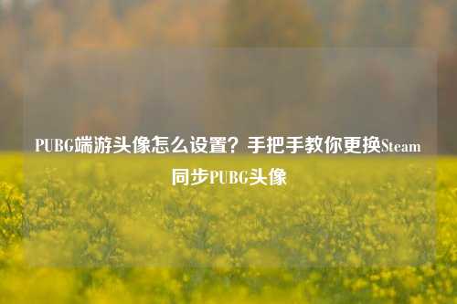 PUBG端游头像怎么设置?手把手教你更换Steam同步PUBG头像