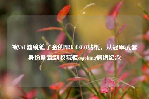 被VAC滤镜镀了金的NBK CSGO贴纸,从冠军武器身份勋章到收藏柜csgoking情绪纪念