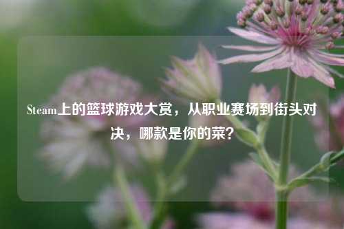 Steam上的篮球游戏大赏,从职业赛场到街头对决,哪款是你的菜?