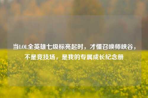 当LOL全英雄七级标亮起时,才懂召唤师峡谷,不是竞技场,是我的专属成长纪念册