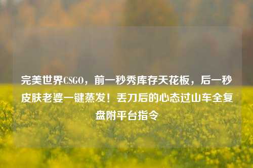 完美世界CSGO,前一秒秀库存天花板,后一秒皮肤老婆一键蒸发!丢刀后的心态过山车全复盘附平台指令