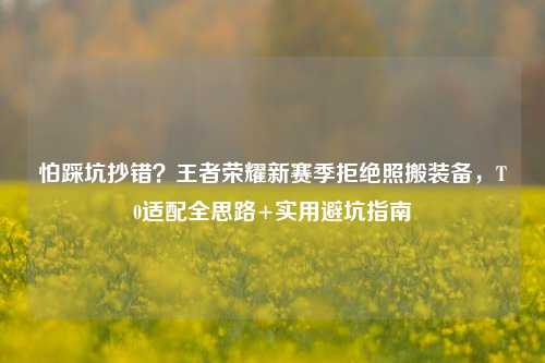 怕踩坑抄错?王者荣耀新赛季拒绝照搬装备,T0适配全思路+实用避坑指南